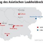 Krieg gegen einen Winzling