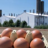 „Wir bräuchten 30 Kontrolleure“