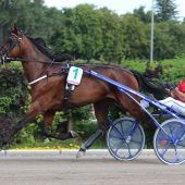 Pechvogel gibt sein Comeback