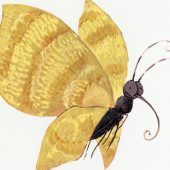 Schöner Schmetterling