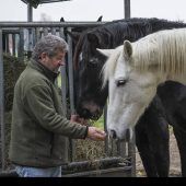 Der Kutscher-Max und seine Abenteuer