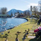 Ein bisschen Wärme vor dem Winter