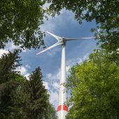 Gegenwind von Waldbesitzern
