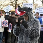 „Hier spricht die pure Angst“ – vor dem Wolf