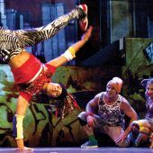 Kopfüber in den Großstadt-Dschungel