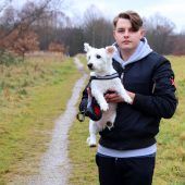 Messer-Attacke beim Gassigehen