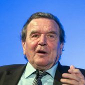 Auch Gerhard Schröder sagt Nein