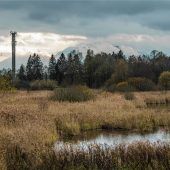 Wetterglück amTonwerkweiher