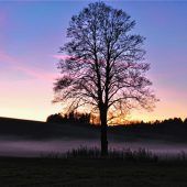 Purpurstimmung in Gehring