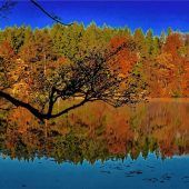 Noch einmal Farbenpracht vor dem Grau-in-Grau