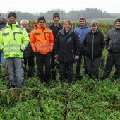 Weniger Phosphor dank Zwischenfrucht
