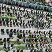 Unkraut auf Friedhofs-Leerständen