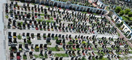 Auf den ungenutzten Grabstellen im alten Bereich des städtischen Friedhofs grünt es. Die Bekämpfung des Unkrauts ist ein mühsames Unterfangen. Foto re