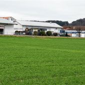 Bauchschmerzen wegen der Märkte