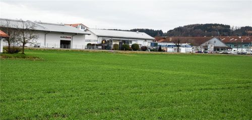 Auf dieser Fläche zwischen Feldolling und Westerham sollen drei Einkaufsmärkte entstehen.Foto merk