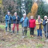Ausgleichsfläche bepflanzt