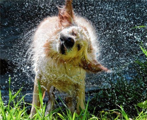 Blende 2017: Platz 14 für „Schleudergang“