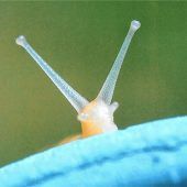 Blende 2017: Platz 15 für „Über den Tellerrand schauen“