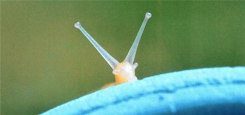 Blende 2017: Platz 15 für „Über den Tellerrand schauen“