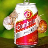 Blende 2017: Platz 17 für „Angelockt“