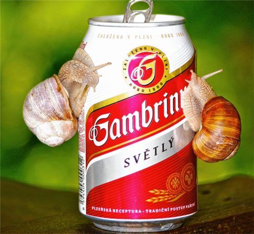 Blende 2017: Platz 17 für „Angelockt“