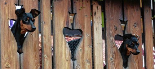 Blende 2017: Platz 18 für „Neugierige Balkongäste“