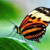 Blende 2017: Platz zwölf für „Eine kleine Pause“