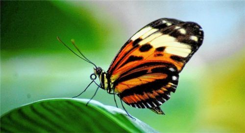 Blende 2017: Platz zwölf für „Eine kleine Pause“