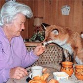 Blende: Platz 19 für „Frühstück mit Fipsi“