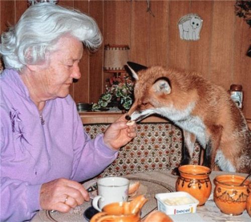 Blende: Platz 19 für „Frühstück mit Fipsi“