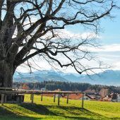 Das Wetter ist immer für eine Überraschung gut