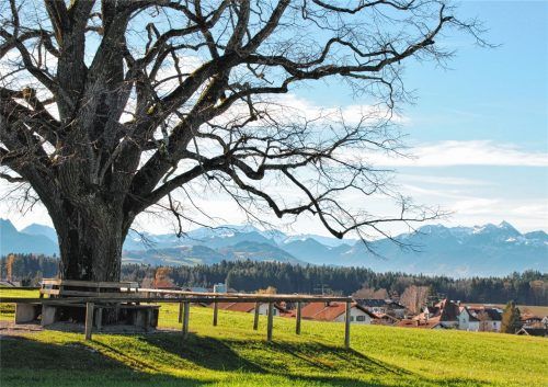 Das Wetter ist immer für eine Überraschung gut