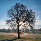 Der Herbst und seine schönen Seiten