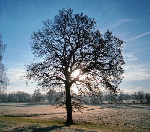Der Herbst und seine schönen Seiten