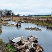 „Für die Natur etwas gemacht“