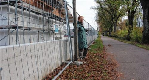 Direkte „Nachbarn“: die Betonwand und die Linde. Foto fl