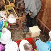 Alles über Igel erfahren