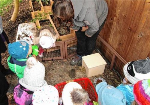 Ein kleiner Igel überwintert jetzt im Garten der Kinderkrippe „Holzwürmchen“. Sarah Zapf (Mitte) von der Igelstation Bruckmühl verriet den Kindern alles über Igel und deren Winterschlaf.