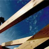 Aicher dringt im Ausschuss nicht durch