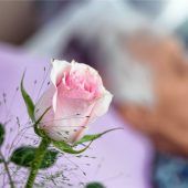 Die Melodien des Lebens