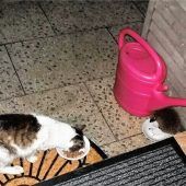 Futtern vor dem Winter