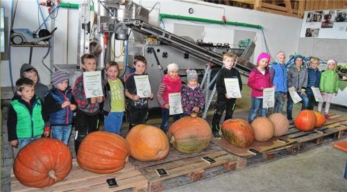 Goldener Kürbis ging nach spannender Wiegeaktion an Leni Riedl