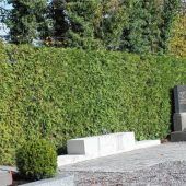 Neue Urnenwand für Alten Friedhof
