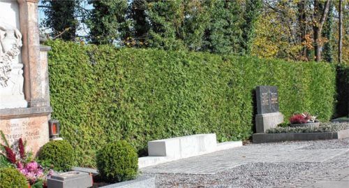 Hier steht bereits das Fundament für die neue Urnenwand. Auf das Mittelteil kommen heuer noch neun Urnenkästen.