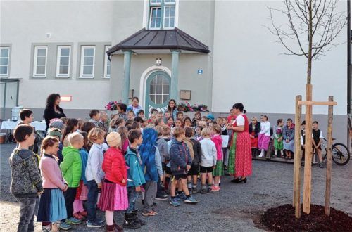 Im Schulhof von Söllhuben eine neue Linde gepflanzt