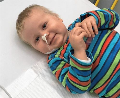 Darf heim nach Aschau: der zweijährige Raphael. Foto re