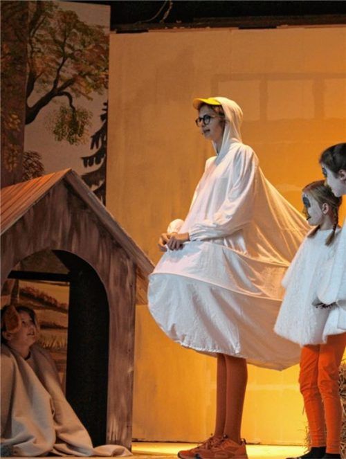 Letzte Vorbereitungen für „Hühnerstall“