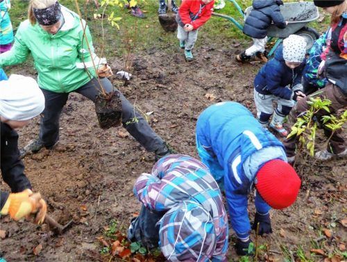 Mit Feuereifer pflanzten die Kinder zusammen mit Försterin Magdalena Häusler einen „blühenden Waldrand“.Foto re