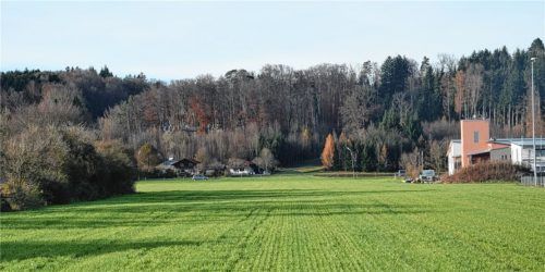 Nur an dieser Stelle südlich von Feldkirchen und nördlich von Westerham wäre eine neue Trasse für die Staatsstraße 2078 möglich.Foto merk