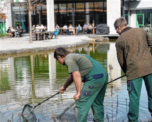 Privatleute, aber auch große Unternehmen nehmen die Dienste zur Pflege ihrer Teiche und Grünflächen in Anspruch. Foto  SChlecker
